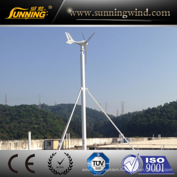 Factory Supply Pitch Mechanism Wind Turbine 300W